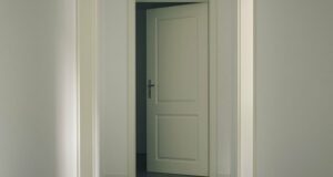 Interior Door