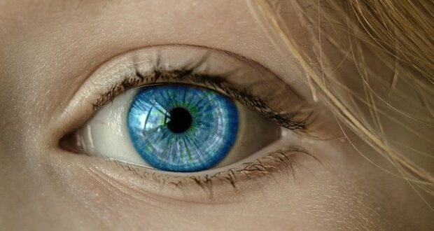 Eye