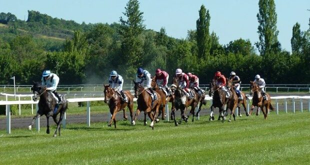 Horse Race