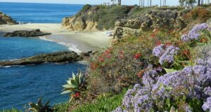 Laguna Beach