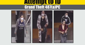 newhall grand theft nixle 111021