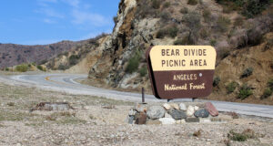 bear divide