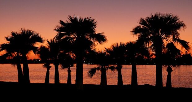 Sunset