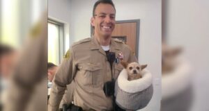 Santa Clarita Sheriff's deputy holds found dog