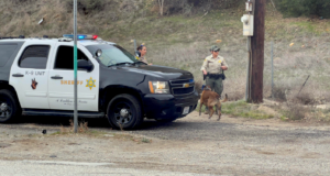 Two deputies stand hear a K-9 unit vehicle with a police dog.