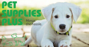 Pet Supplies Plus