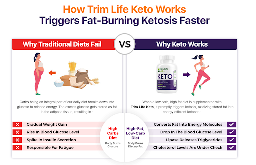 Lifestyle Keto