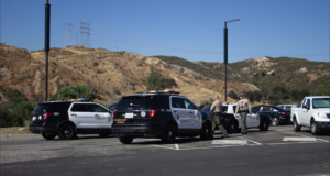 assault arrest