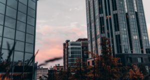 Cars parked in city