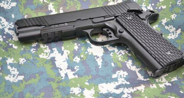 Gun