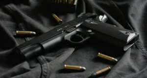 Gun