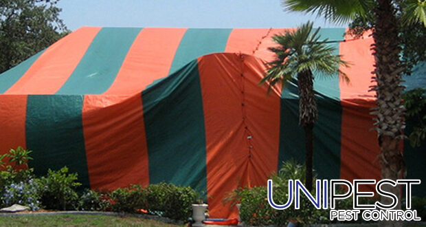 Unipest - Fumigation