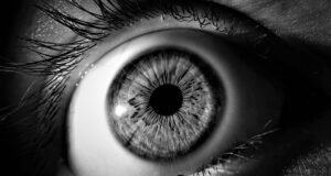 Eyelash