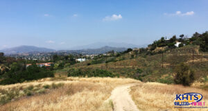 081623-elephant-trail