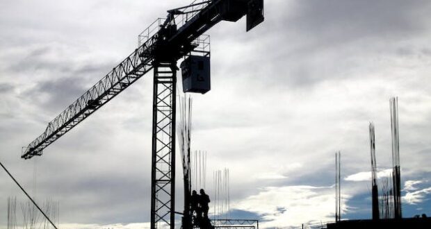 crane