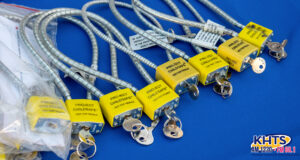Gun Locks
