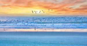 Myrtle Beach