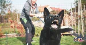 1/23/24 Dog attack