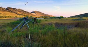 Ft. Collins