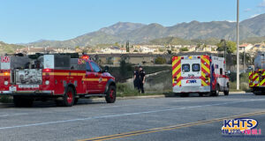 Fire fighters look at extinguished brush.
