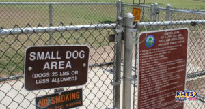 central park dog park 022724