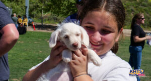HomeandGarden_Puppy