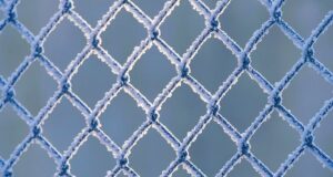 fence
