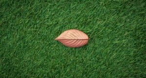 artificial grass
