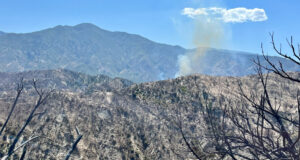 post fire update 062124