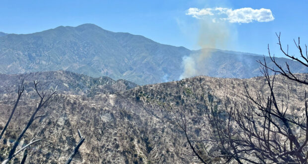 post fire update 062124