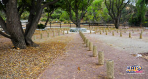youth grove 062024