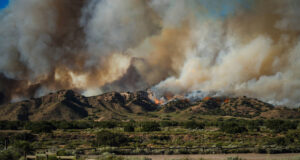 hungry valley state park post fire 070124