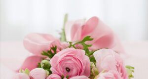 bouquet