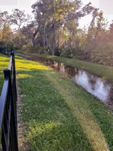 Water drains out of the backyard