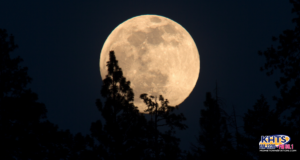 moon 101524