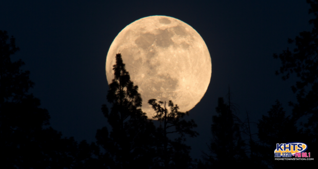 moon 101524