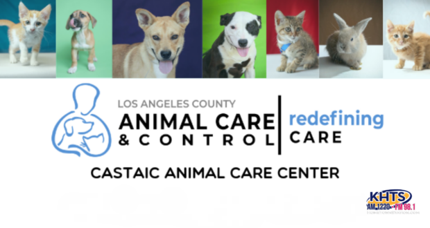 11/6/24 Pets and Vets