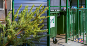 12/24/24 christmas tree recycle