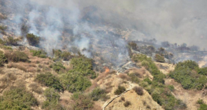 Hurst Fire ANF 020625