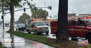 031425 Vehicle v ped