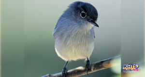 033025 today in history