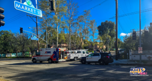3/13/25 auto vs ped