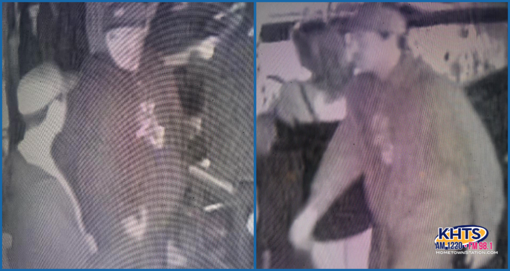 docs inn assault 022725 031025
