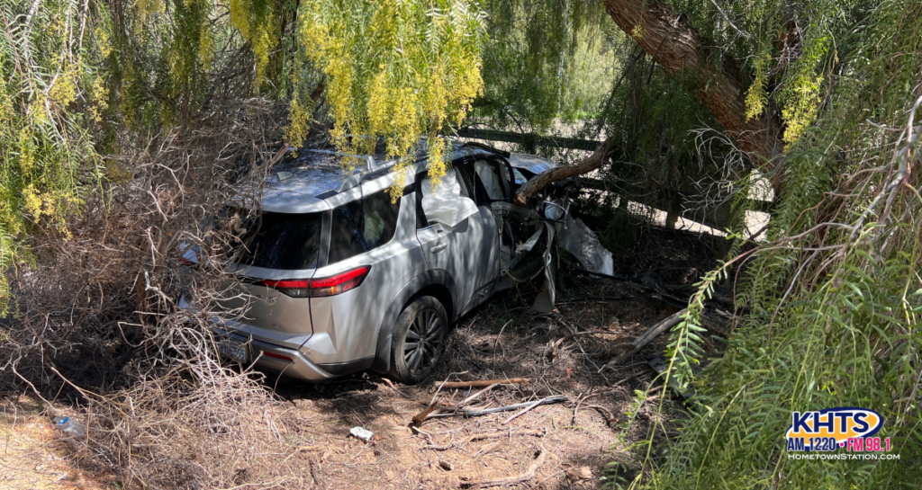 Driver Flees After Crashing Into Tree In Santa Clarita (Sophia Lesseos)