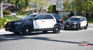 via brava deputy fight 040725