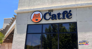 052225 catfe