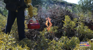 prescribed burn anf stock 052225