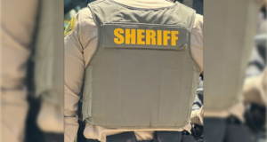 scv sheriff badge - louie