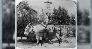lou henry hoover acton 082225