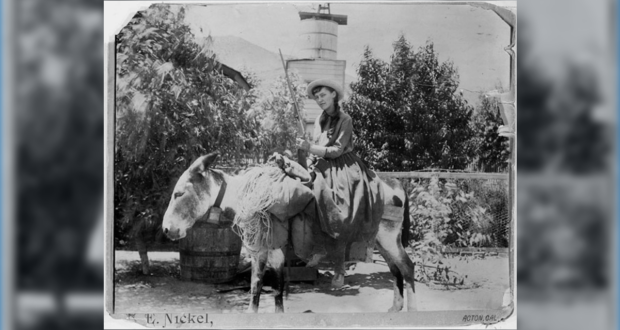 lou henry hoover acton 082225